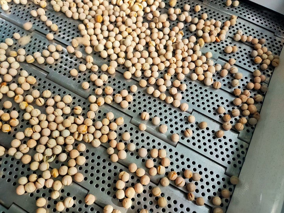 許昌智工炒貨機 許昌智工炒貨機