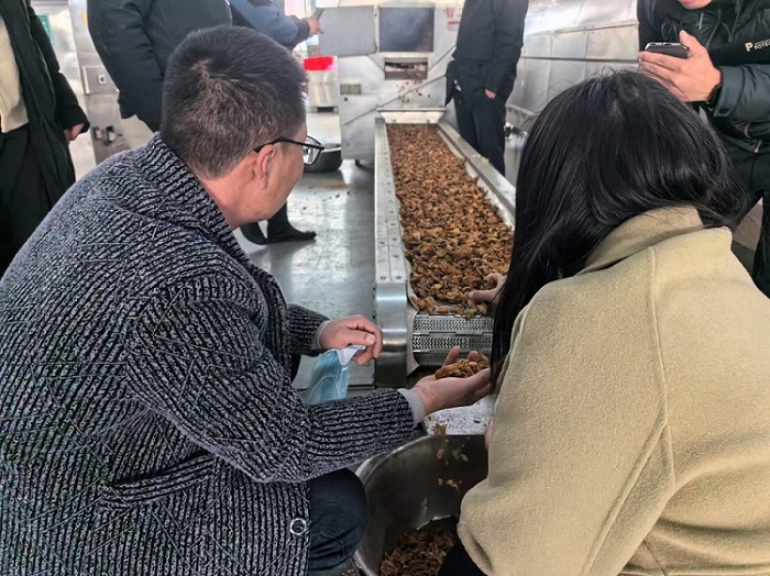 許昌智工流水線炒貨機(jī) 許昌智工流水線炒貨機(jī)